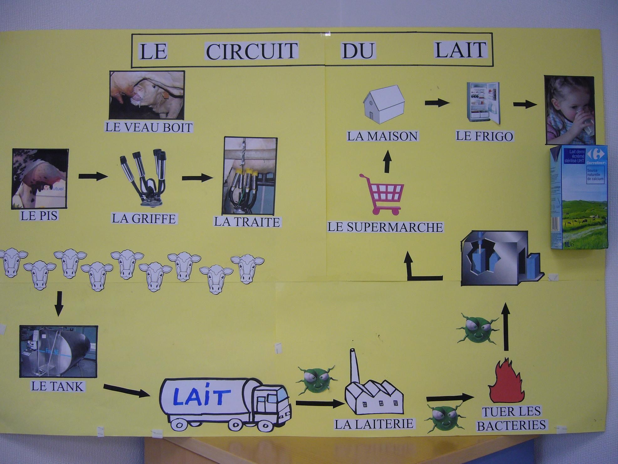 Le Circuit Du Lait 